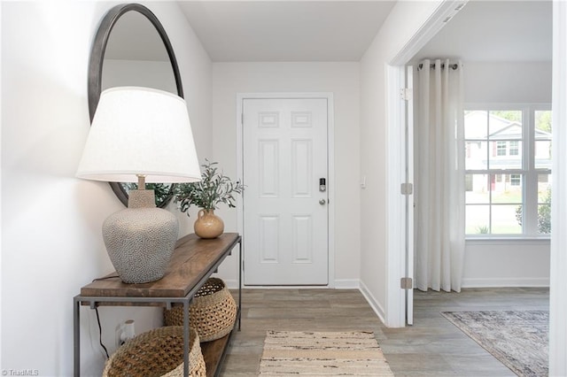 foyer with a wealth of natural light and light wood-type flooring