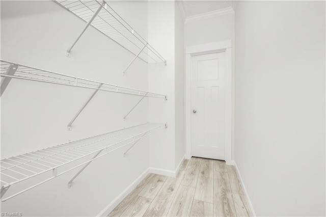 walk in closet with light hardwood / wood-style floors