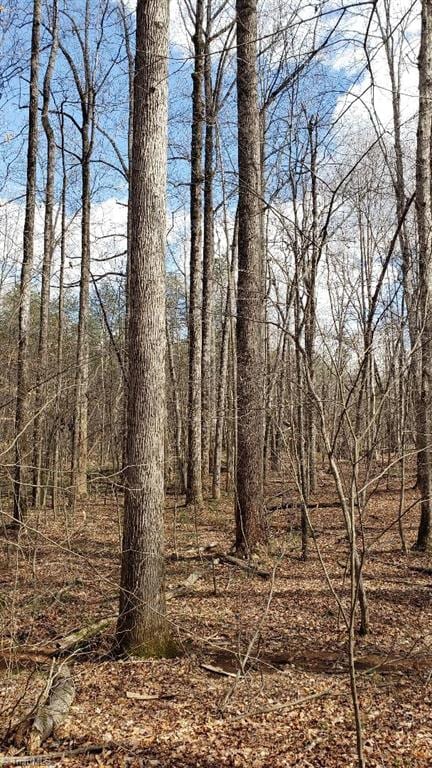 833 Calahaln Rd, Mocksville, NC 27028