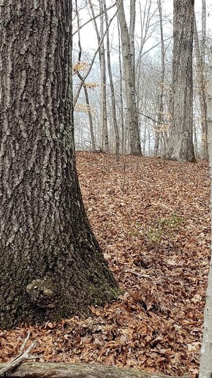 833 Calahaln Rd, Mocksville, NC 27028