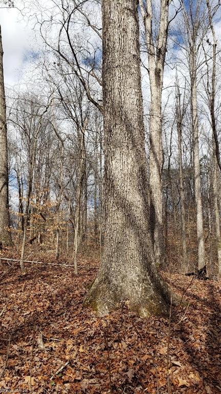 833 Calahaln Rd, Mocksville, NC 27028