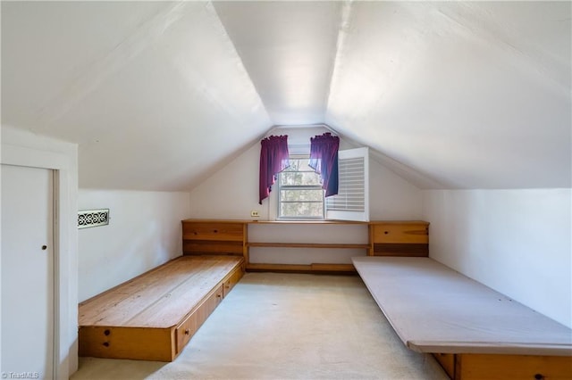 additional living space with light carpet and lofted ceiling