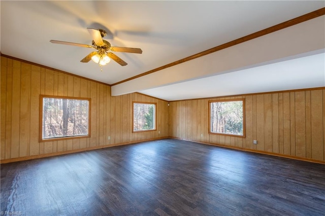 unfurnished room with lofted ceiling, dark hardwood / wood-style flooring, and a healthy amount of sunlight