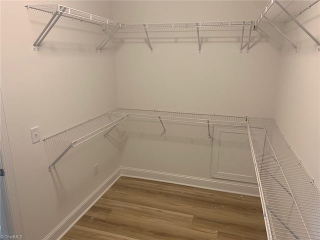 spacious closet with hardwood / wood-style flooring