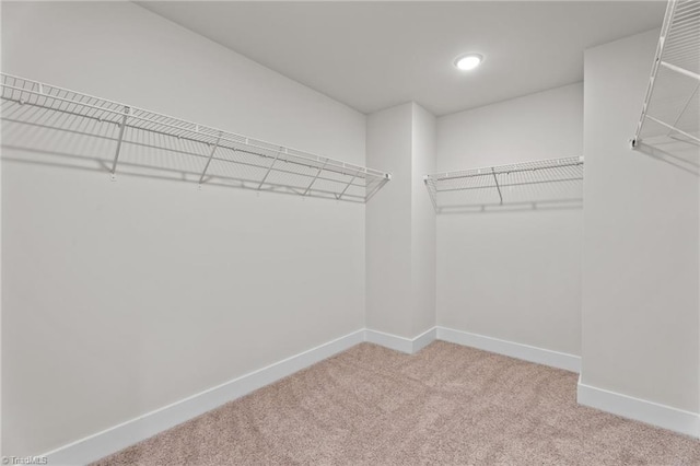 271 Redland Rd, Advance, NC 27006 - walk in closet with carpet floors