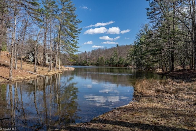 view of water feature with a forest view