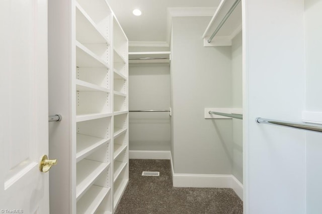 spacious closet featuring dark colored carpet