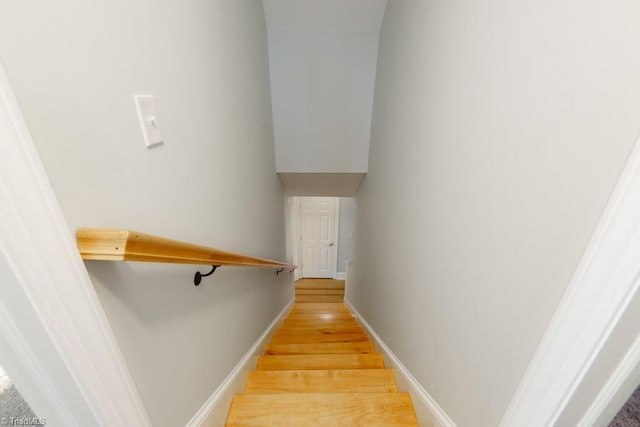 stairway with hardwood / wood-style floors