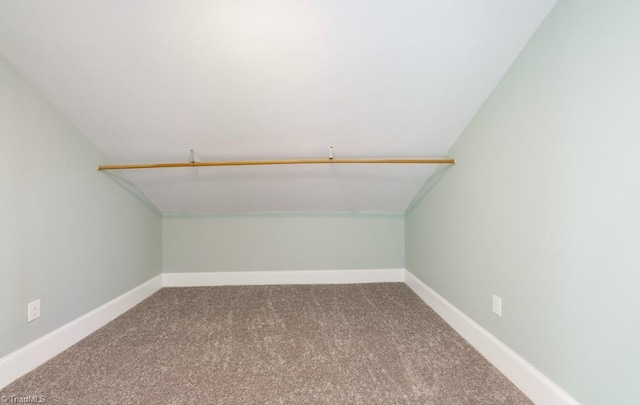 walk in closet featuring carpet and vaulted ceiling