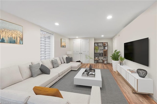 living room featuring light hardwood / wood-style flooring