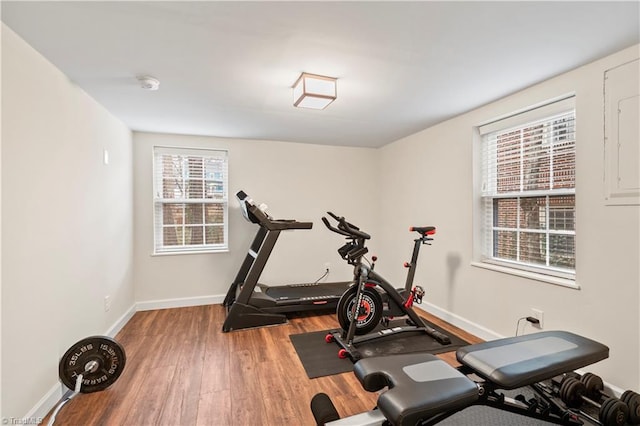 workout area featuring wood-type flooring