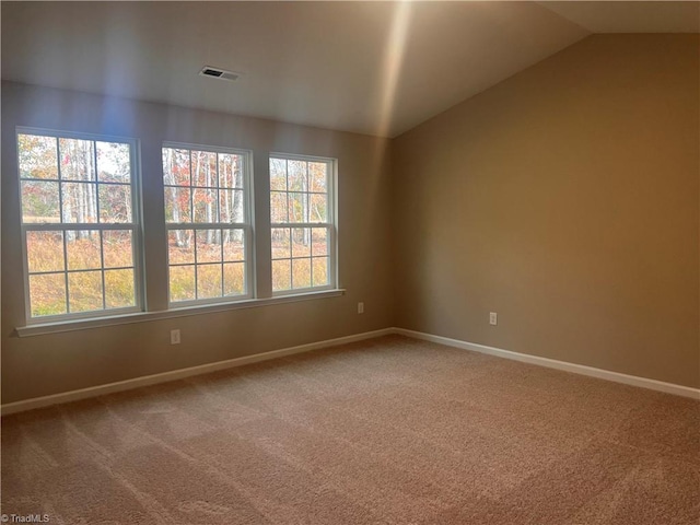 empty room with lofted ceiling, carpet floors, and a wealth of natural light