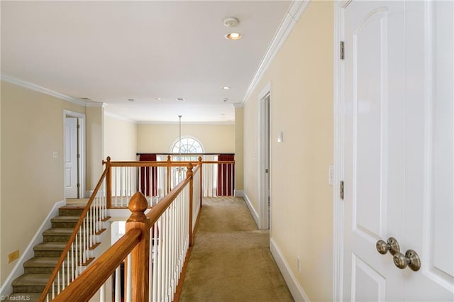 hallway featuring ornamental molding and carpet