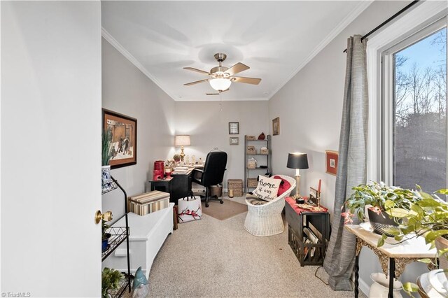 carpeted home office with ceiling fan and ornamental molding