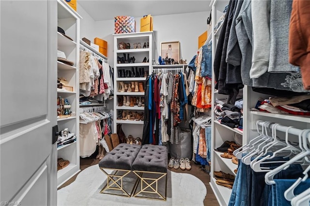 walk in closet with wood finished floors