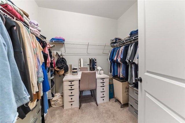 1423 Blooming Mountain Way, Kernersville, NC 27284 - spacious closet featuring carpet flooring