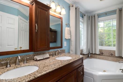 bathroom featuring a washtub, crown molding, and vanity