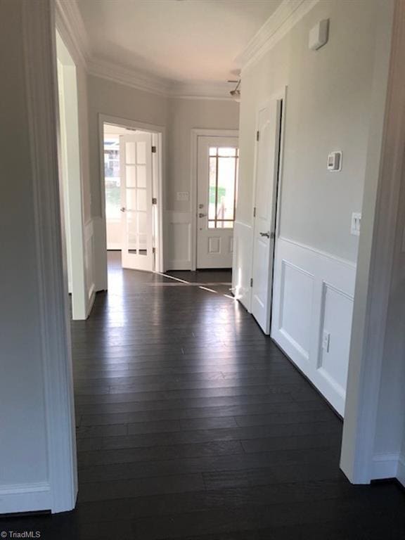 hallway featuring dark wood-type flooring, crown molding, a decorative wall, and a wainscoted wall