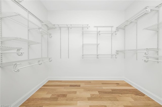 spacious closet featuring light wood finished floors