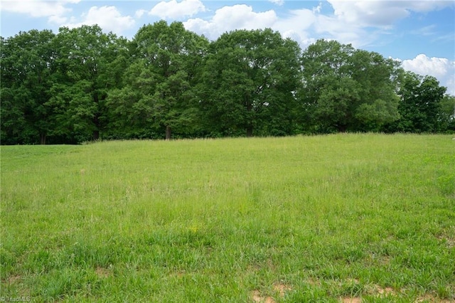 view of tree filled area