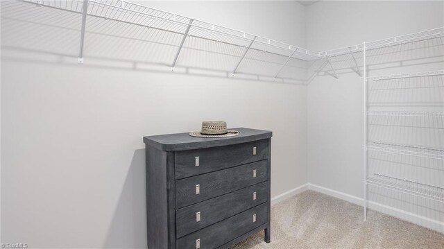 162 W Farm Loop, Stokesdale, NC 27537 - spacious closet featuring light carpet
