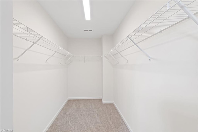 spacious closet featuring visible vents and carpet flooring