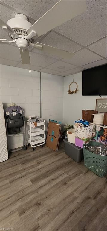 storage room featuring a ceiling fan