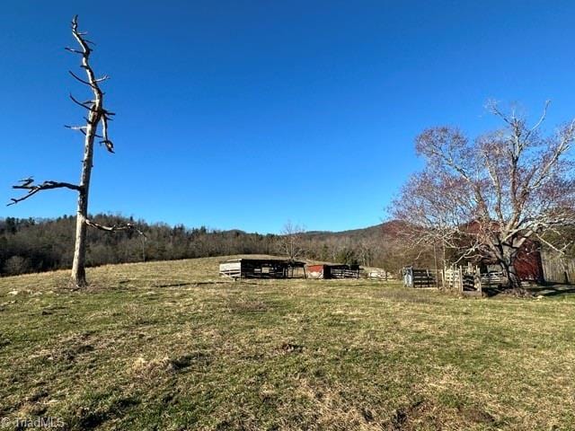 view of yard featuring a rural view