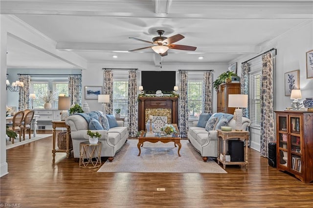 living area featuring crown molding, wood finished floors, beamed ceiling, ceiling fan with notable chandelier, and recessed lighting
