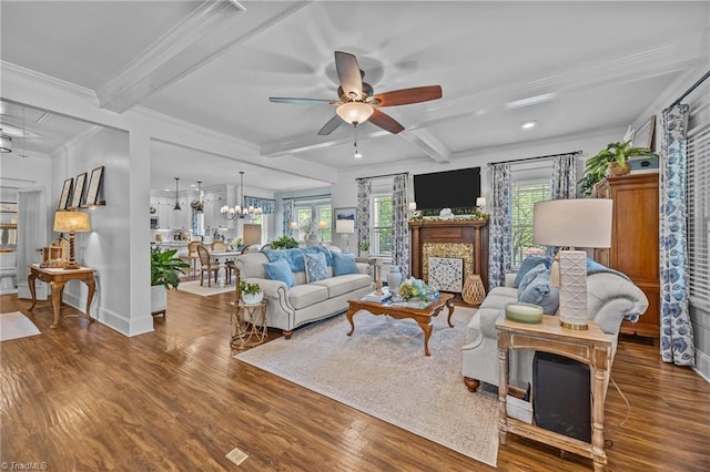 living room with beamed ceiling, a wealth of natural light, wood finished floors, and ceiling fan with notable chandelier