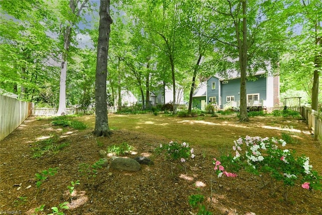 view of yard with a fenced backyard