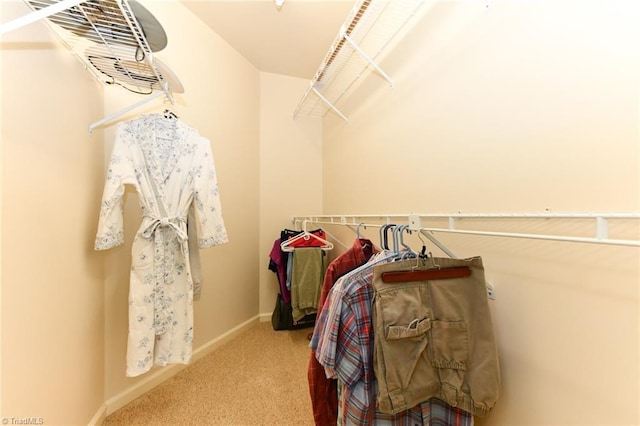 spacious closet featuring carpet floors