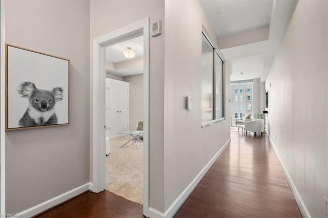 hallway featuring dark hardwood / wood-style flooring