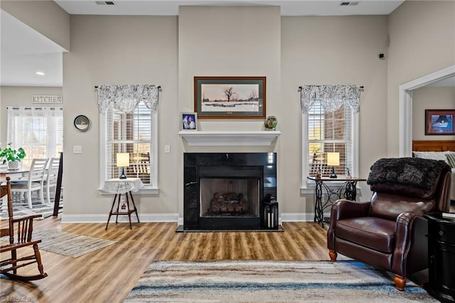 living area featuring hardwood / wood-style flooring