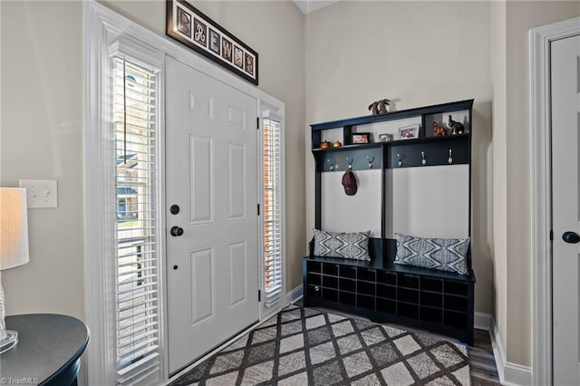 mudroom with wood-type flooring