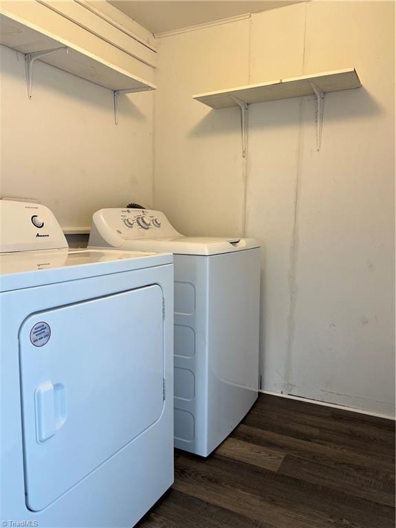 washroom with dark wood-type flooring and washing machine and dryer