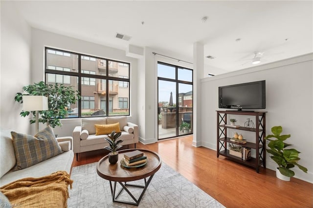 living room featuring ceiling fan and wood-type flooring