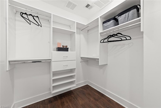 spacious closet with dark hardwood / wood-style floors