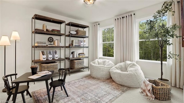 sitting room with carpet floors