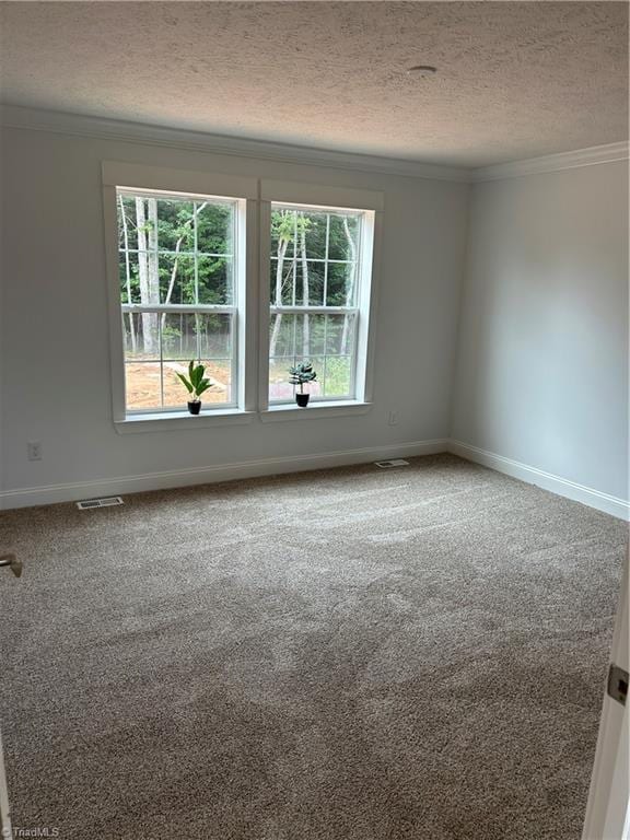 unfurnished room featuring crown molding, carpet floors, and a textured ceiling