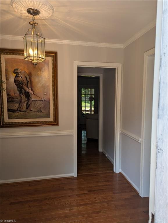 hallway with a notable chandelier, dark hardwood / wood-style floors, and ornamental molding