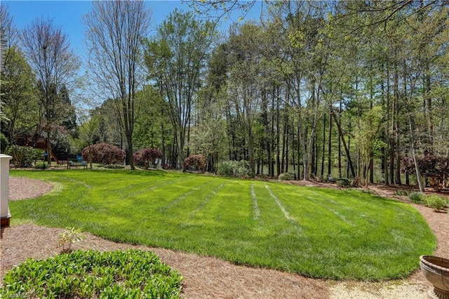 10 Sunfish Pt, Greensboro, NC 27455 - view of grassy yard