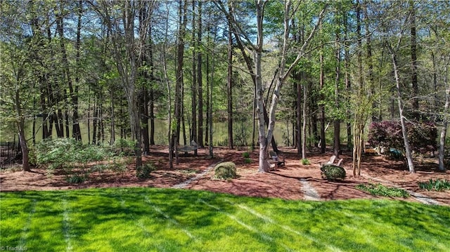 10 Sunfish Pt, Greensboro, NC 27455 - view of grassy yard