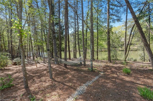10 Sunfish Pt, Greensboro, NC 27455 - view of yard featuring a forest view