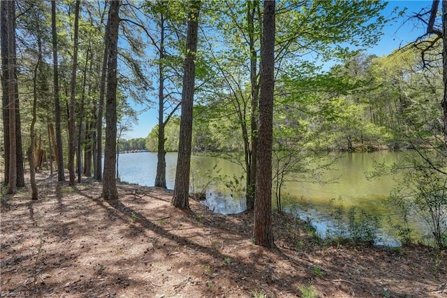 10 Sunfish Pt, Greensboro, NC 27455 - water view with a heavily wooded area