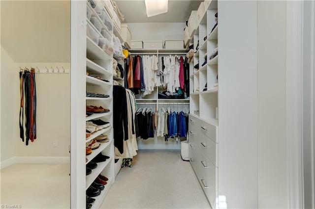 10 Sunfish Pt, Greensboro, NC 27455 - view of walk in closet