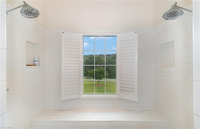 2733 Nebo Rd, East Bend, NC 27018 - full bath featuring tiled shower and plenty of natural light
