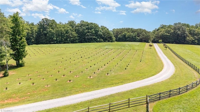 2733 Nebo Rd, East Bend, NC 27018 - view of community featuring a view of countryside, a lawn, and agricultural area