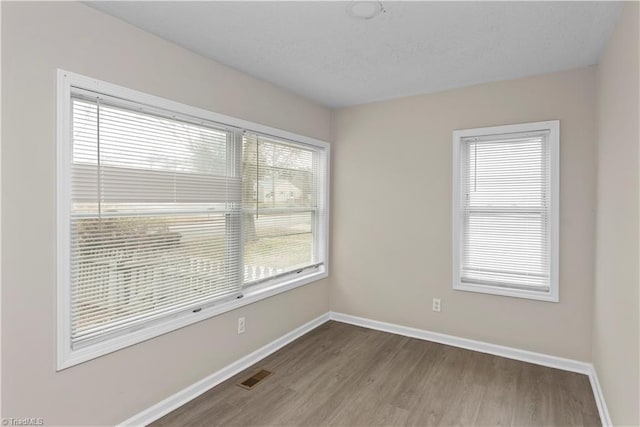 empty room featuring light hardwood / wood-style flooring and a wealth of natural light