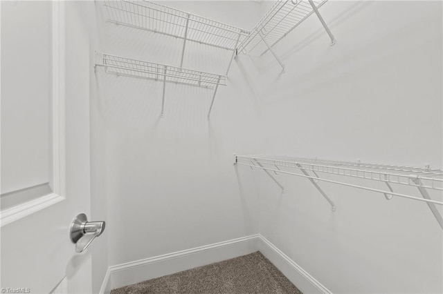 606 Bellemeade St, Greensboro, NC 27401 - walk in closet with carpet flooring